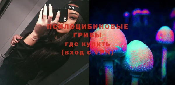 гидра Аркадак
