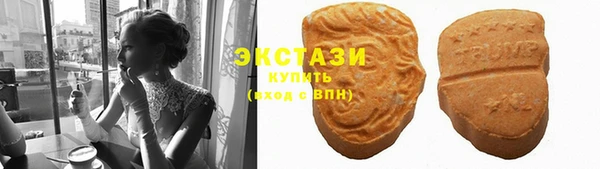 гидра Аркадак