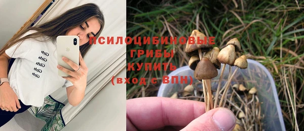 гидра Аркадак