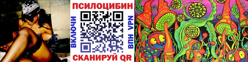 где найти   площадка наркотические препараты  Псилоцибиновые грибы прущие грибы  Спасск 